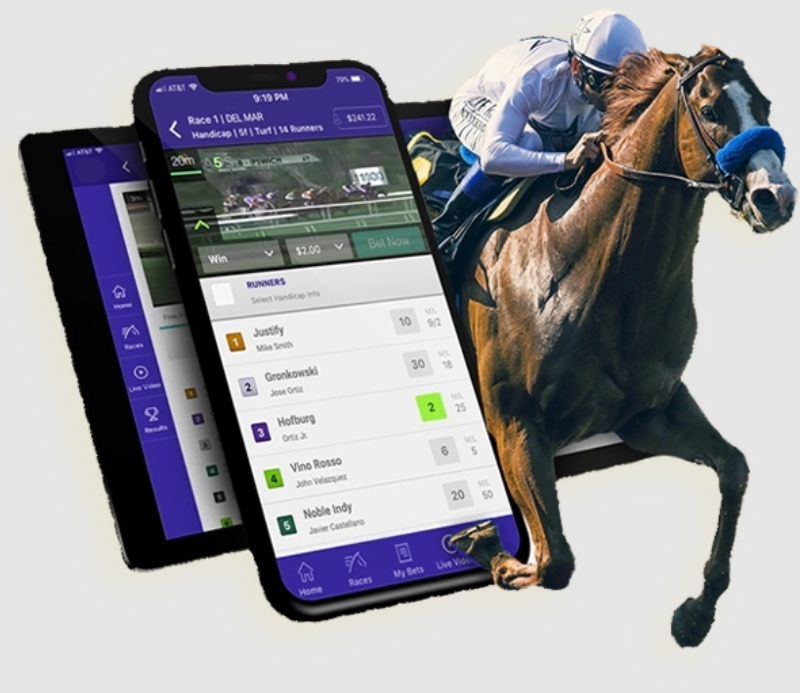 WinSpirit Horse Betting Strategies – Tracks, Odds & Tips 2